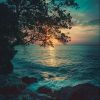 Download track Slow Rhythms Relax Body