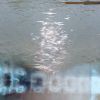 Download track A Wave