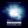 Download track Cold Rain (Original Mix)