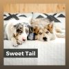 Download track Relaxed Poodle