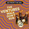 Download track The Intruder