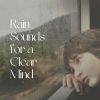 Download track Fast-Paced Rain