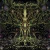 Download track Melancholic Patterns