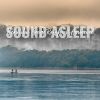 Download track Beautiful Congo Rainforest Ambience, Pt. 1
