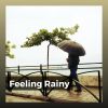 Download track Beauty Of The Rain