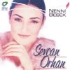 Download track Suda Balık Yan Gider