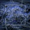 Download track Comatone