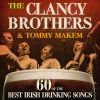 Download track The Maid Of Sweet Brown Knowe