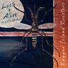 Download track Manic Moments (Live)