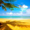 Download track ΤΟ PARTY ΔΕΝ ΣΤΑΜΑΤΑ