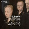 Download track 01 - Laß, Fürstin, Laß Noch Einen Strahl, BWV 198, Prima Pars- Coro ''Laß, Fürstin, Laß Noch Einen Strahl''