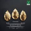 Download track Sonate Für Klarinette Und Klavier No. 1 In F Minor, Op. 120: II. Andante Un Poco Adagio