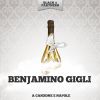 Download track A Canzone E Napole