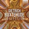 Download track 1. Courante Zimble In A Minor BuxWV. 245 - I. Variatio 1