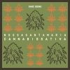 Download track Zé Gotinha Verde