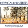 Download track Symphony No. 2 In D Major, Op. 73: III. Allegretto Grazioso (Quasi Andantino)