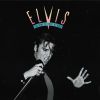 Download track Interview With Elvis