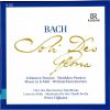 Download track Accompagnato (Tenor); 'So Geht! Genug, Mein Schatz Geht Nicht Von Hier'