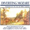 Download track Symphony No. 35 In D Major, K. 385: I. Allegro Con Spirito