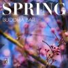 Download track The Colors Of Spring