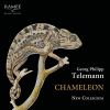 Download track 14. Ouverture À La Polonoise (From Ouverture Burlesque, TWV 32 -2)