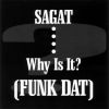 Download track Funk Dat (Philly Smooth Hip - Hop Edit)
