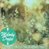 Download track Honey Glazed Afternoons