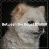 Download track Between The Rays