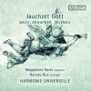 Download track 04 - Concerto For 2 VIolins In E-Flat Major, GWV 319 - II. Allegro