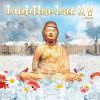 Download track Indian Man Of Trouble (Mashti Edit)