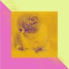 Download track Background For Friendly Cats