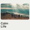 Download track Healing Therapy Music, Pt. 17