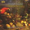 Download track 11. Trio Sonata In D Minor, GWV 207 I. Senz' Acceleranza