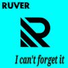 Download track I Can't Forget It