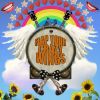 Download track The Five Minute Wonder Boy