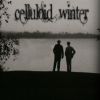 Download track Kodachrome
