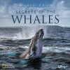 Download track Ocean Giants (From 