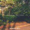 Download track Phenomenal Ambience For Morning Routines