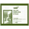 Download track Symphony No. 1 In E Minor Op. 39 - IV. Finale (Quasi Una Fantasia)