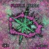 Download track Fish On