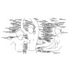 Download track Divagation