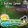 Download track La Chica Alegre (En Vivo)