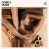 Download track Spa Instrumental