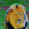 Download track Sunny Land