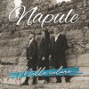 Download track Napule È