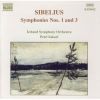 Download track Symphony No. 1 In E Min - Andante Ma Non Troppo - Allegro Energico