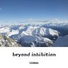 Download track Shadows In The Light