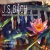 Download track 09 - Sonata In D Major, BWV 1028- II. Allegro