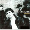 Download track The Spider And The Fly