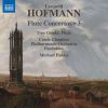 Download track Flute Concerto In D Major, Badley D5 II. Andante Ma Non Molto